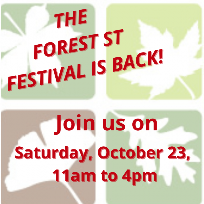 Forest St Festival is back!